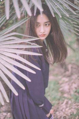 电视剧在线观看免费